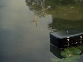 The Avengers: You Have Just Been Murdered