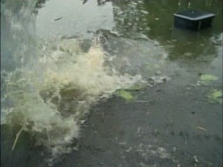 The Avengers: You Have Just Been Murdered