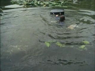 The Avengers: You Have Just Been Murdered