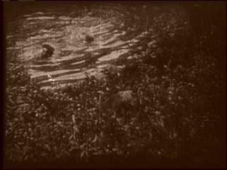 The Perils of Pauline (1914)