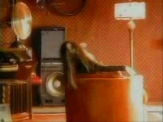 No Creo,  Beautiful Liar