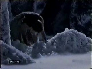 The Avengers, Sexual Chemistry, Xena: Warrior Princess