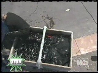 Bride vs Bride show 7