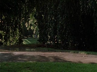 Bloch TausendschÃ¶nchen