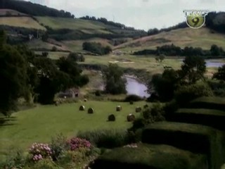 Jean Jacques Smoothie - 2 People 