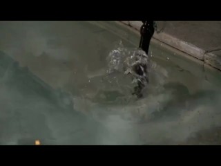 Legend of the Seeker