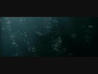 French Movie Chrysalis