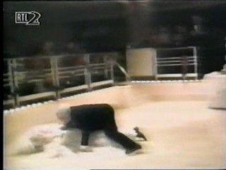 Germany's Funniest Videos