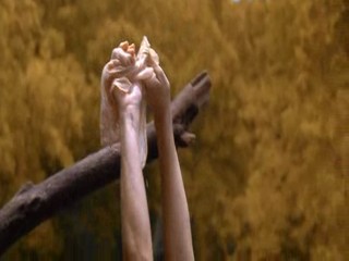 Oh Brother Where Art Thou - The 3  Sirens