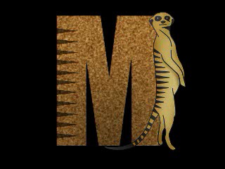 Mud Volleyball & Wrestling