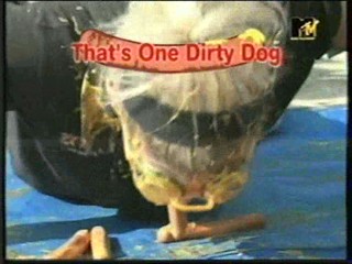 I Bet You Will: mustard toss