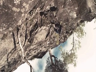 A Lonely Place to Die