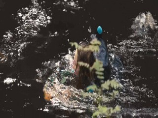 A Lonely Place to Die