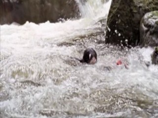 Wrong Turn 2 - Dead Turn