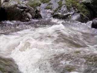 Wrong Turn 2 - Dead Turn