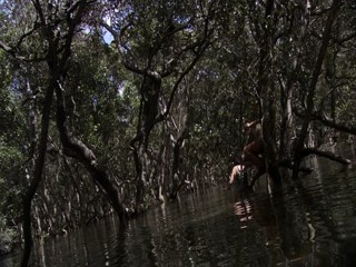 Black Water [scene 2]