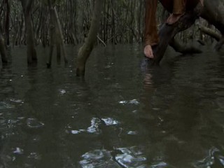 Black Water [scene 2]