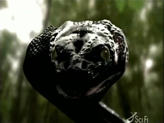 Anaconda 3 mud scene