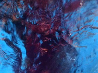 Poison Ivy 4: The Secret Society