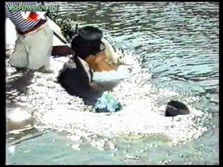 The Perils of Pauline