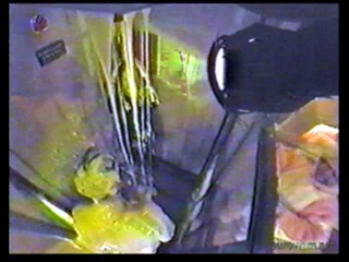 Gottschalk's Haus Party