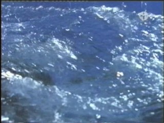 An Unsuitable Job for a Woman