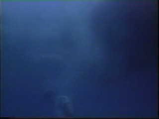 Honeymoon Academy; Kim Cattrall underwater