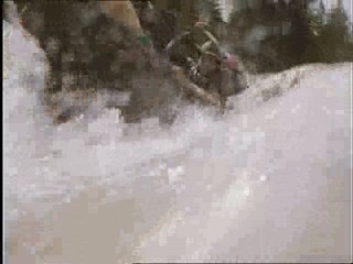 Legion of Fire: Killer Ants!