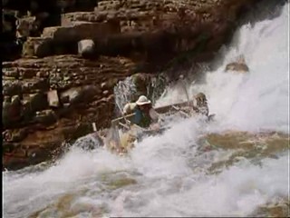 Legion of Fire: Killer Ants!