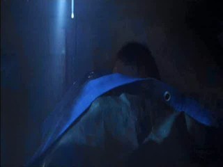 Down (AKA The Shaft)