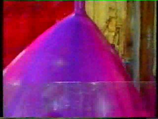 NHP Gunge (Male WAM)