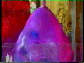 NHP Gunge (Male WAM)