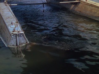 Captain of the Clouds