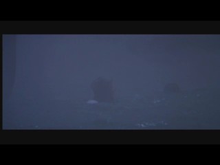 The Private Life of Sherlock Holmes