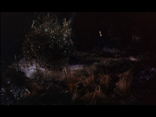 The Hound Of The Baskervilles