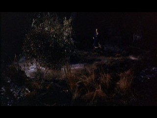 The Hound Of The Baskervilles