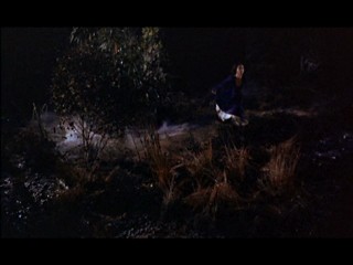 The Hound Of The Baskervilles