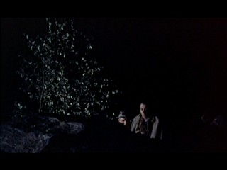 The Hound Of The Baskervilles