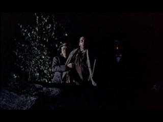 The Hound Of The Baskervilles