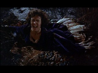 The Hound Of The Baskervilles