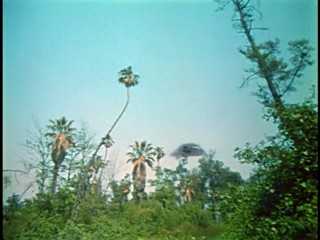 Appointment in Honduras