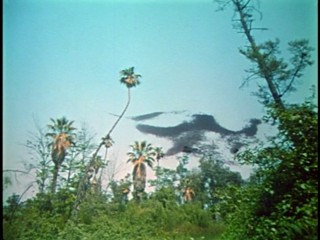 Appointment in Honduras