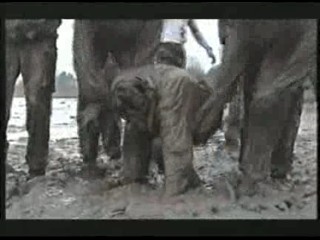 Army girls - mud training