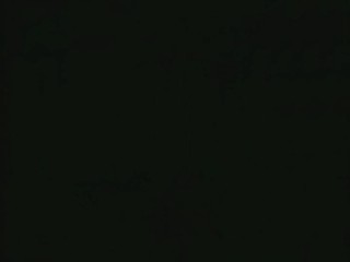 That Peter Kay Thing