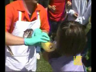 I Bet You Will-Egg Yolk in the Bra