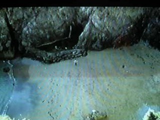 Treasure of the Templar