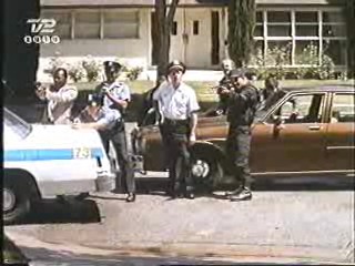 Mud Honey, Lake Consequence, There Goes the Neighborhood