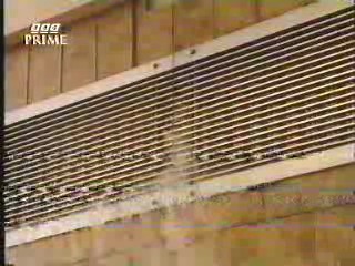 Todo en familia, BBC series