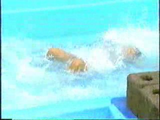 Lattjo Lajban, Bykampen