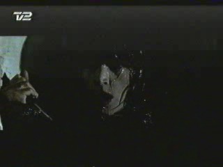 Smillas Sence Of Snow